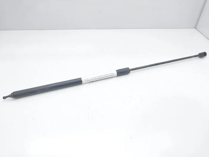 AMORTIGUADORES CAPO RENAULT MEGANE 654710003R-8054463