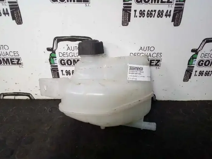 DEPOSITO EXPANSION NISSAN QASHQAI (J11E) Acenta