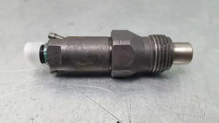 INYECTOR RENAULT R 19 BERL. CON PORTÓN (BC53) GTD