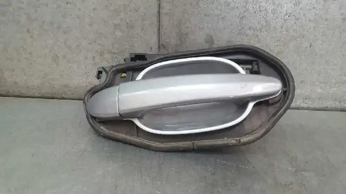 MANETA EXTERIOR TRASERA DERECHA BMW SERIE 5 BERLINA (E60) 530d