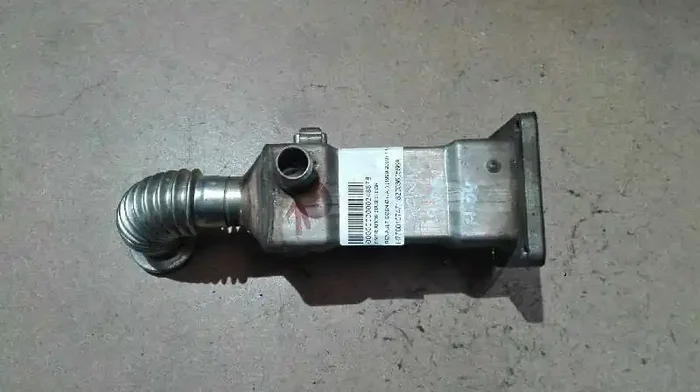 NO IDENTIFICADO RENAULT SCENIC I (JA)
