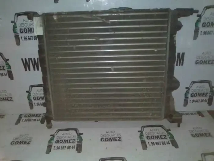 RADIADOR AGUA RENAULT 19 (BCL53)
