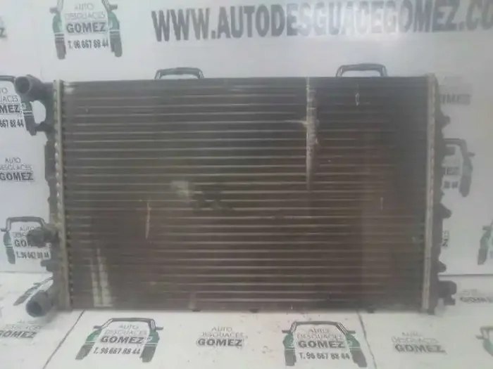 RADIADOR AGUA SEAT IBIZA (6L1) Cool