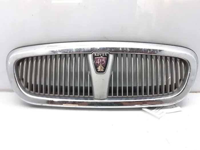 REJILLA DELANTERA MG ROVER ROVER 45 7010170140-6226824
