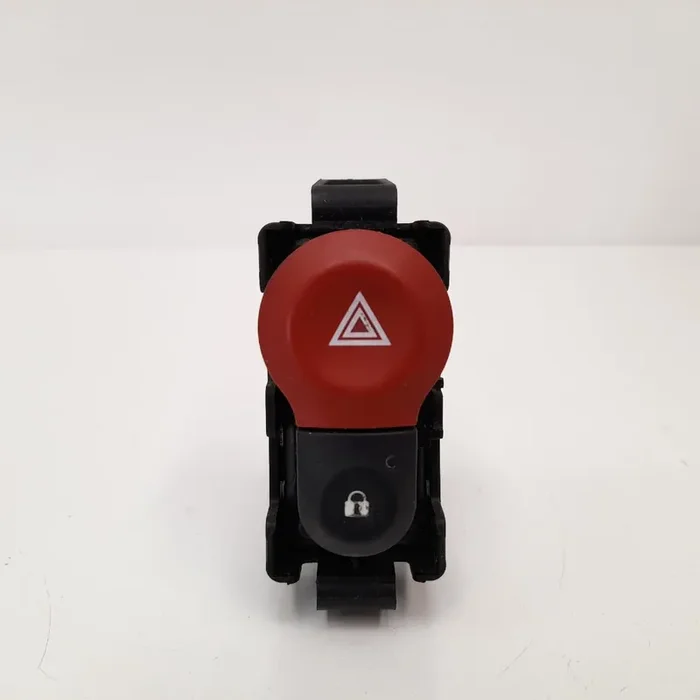 WARNING RENAULT KANGOO II (FKW0) Profesional